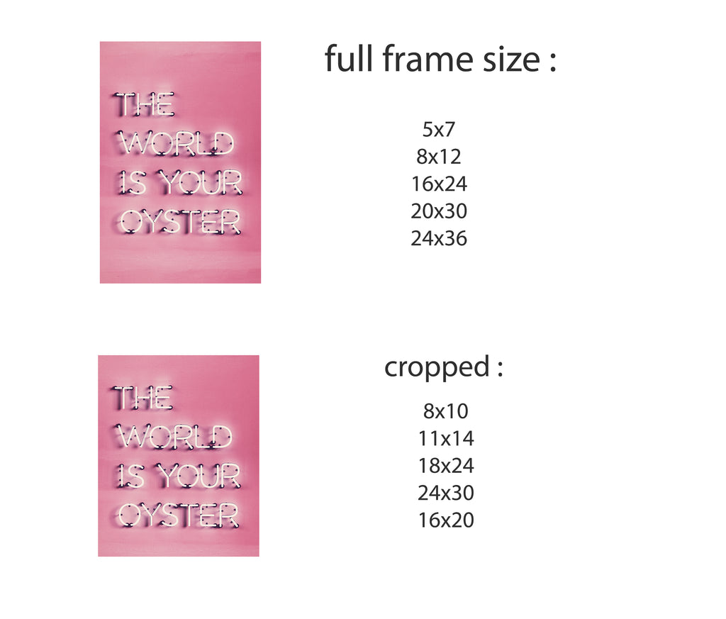 FINE ART PRINT - Choose Size - The World is Your Oyster - Alligator Eyes Mardi Gras Sunglasses Gifts and Accessories 